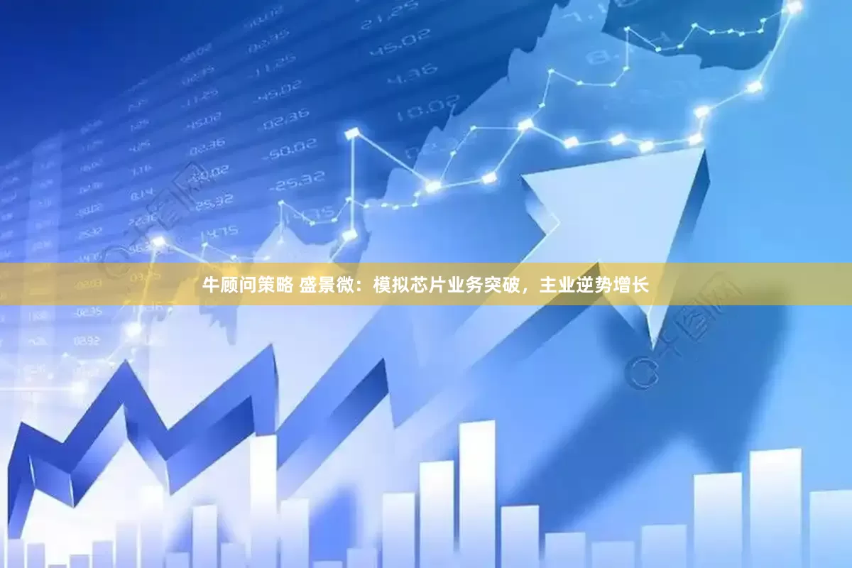 牛顾问策略 盛景微：模拟芯片业务突破，主业逆势增长